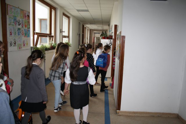 Megyei helyesírási verseny